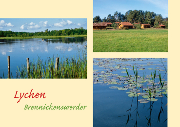 Lychen – Nr. 333